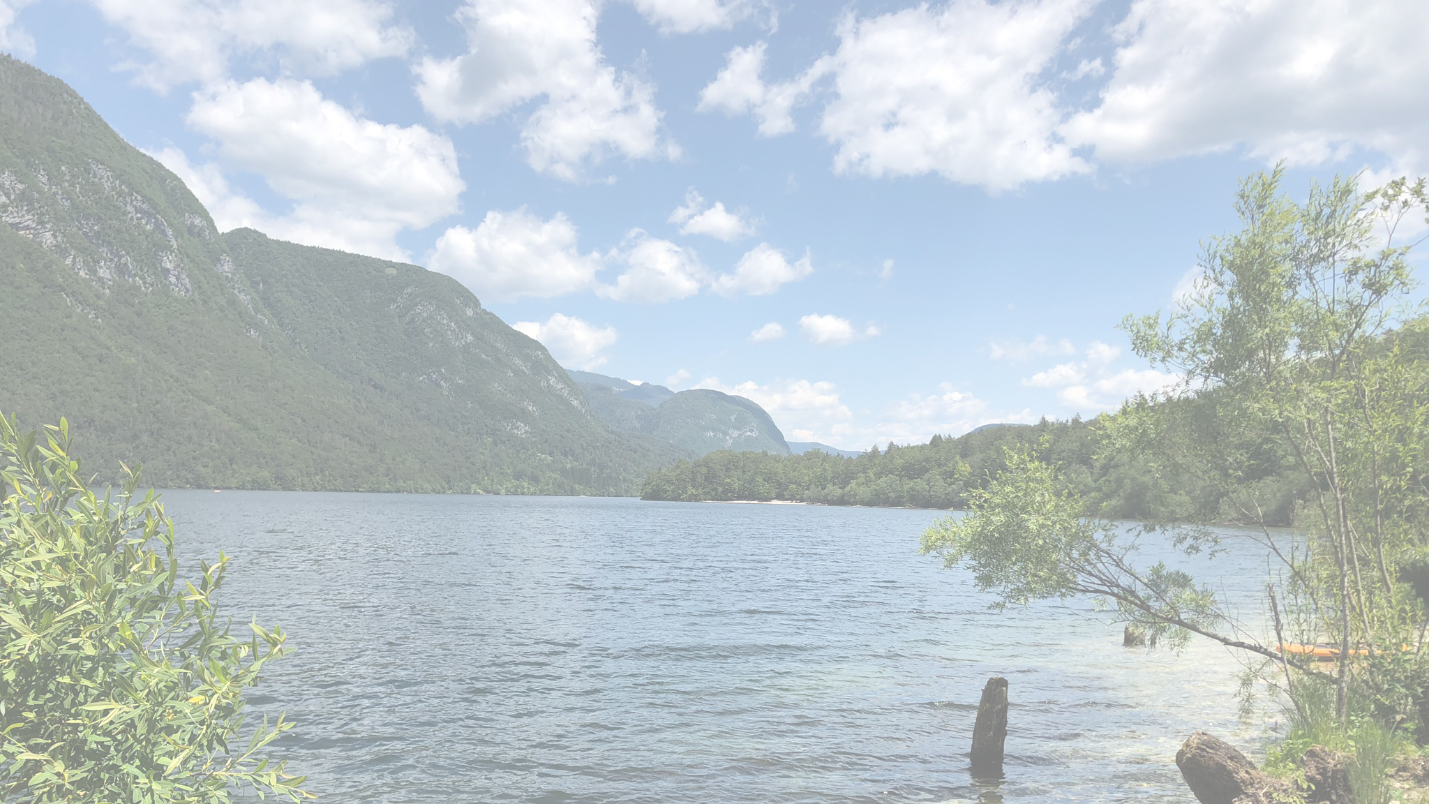 Tai Chi Bild Kalender